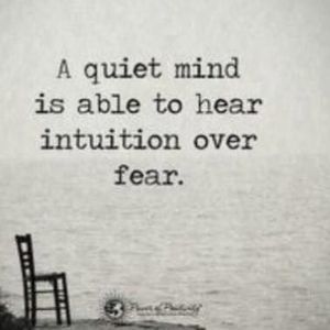 Meet your Posher, Frank